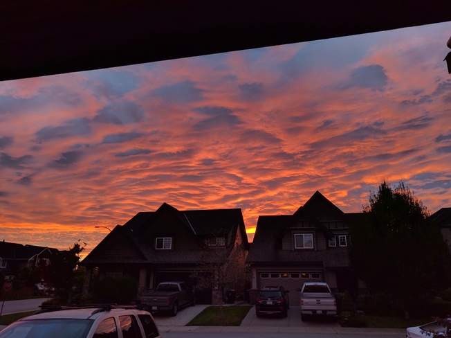 dawn in langley Langley, BC
