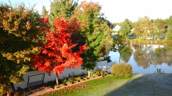Paysage d'automne Laterrière-Bassin, Saguenay, QC