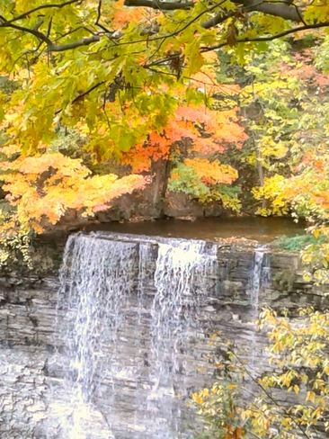 Fall is beautiful Dundas, ON