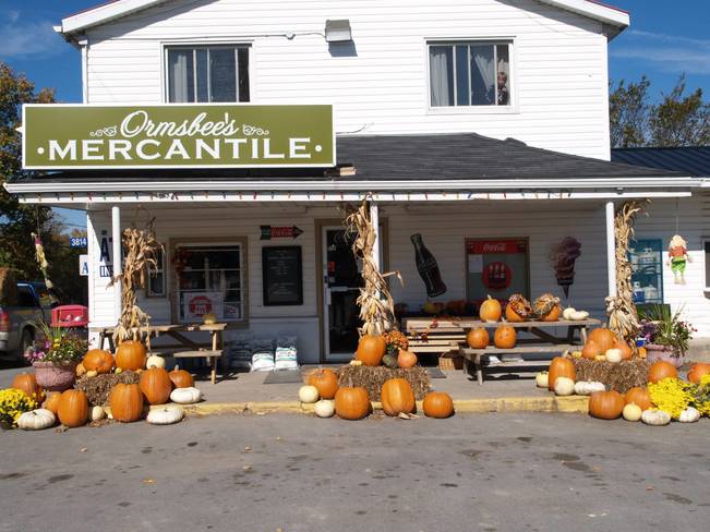 Country Store in Autumn Sunbury, ON