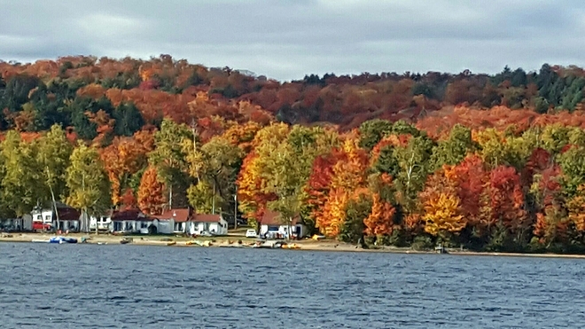 Fall colors Huntsville, ON