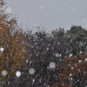 First snow before Halloween