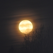 Another Super Moon