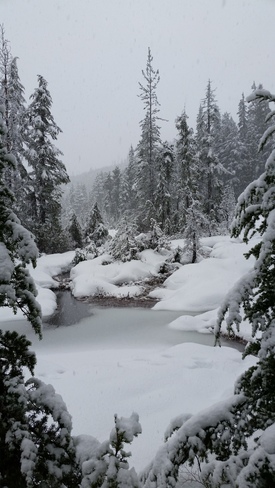 Winter wonderland Vancouver, BC