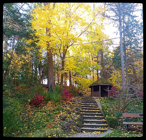 Fall Garden 26 Livingston Rd, Scarborough, ON M1E 1A1, Canada