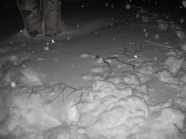 Grosse ouate de neige Alma, QC