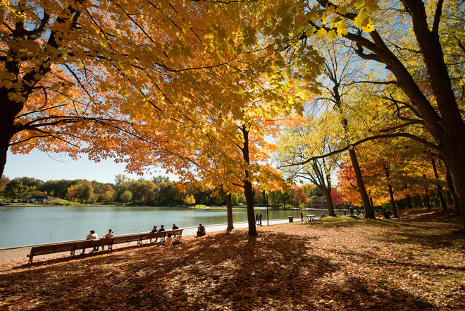 Fall 2016 in Montreal Parc Du Mont Royal