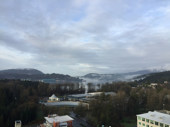 Morning Fog Port Moody, British Columbia, CA