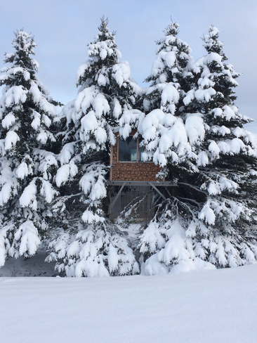 Ma cabane dans l'arbre !!! Saint-Tite-des-Caps, Québec, CA