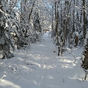 le sentier de neige