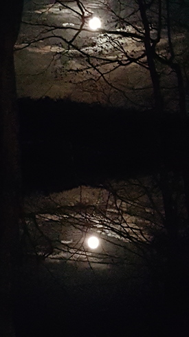 the moon's reflecton White Lake, Ontario
