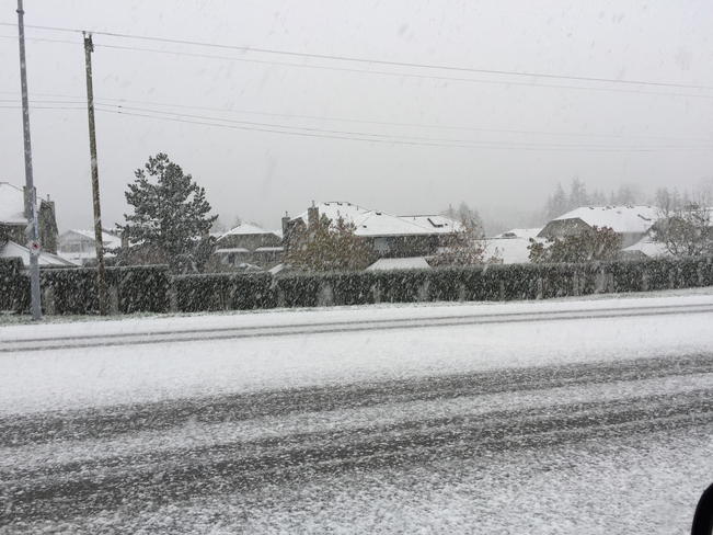 Sure glad that snowfall warning was cancelled Surrey, British Columbia, CA