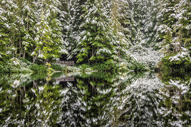 A winter wonderland Sointula, BC