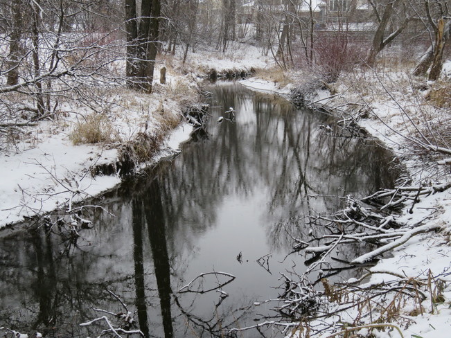 Bunn's Creek in early December. Winnipeg, MB
