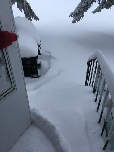 My back yard is full of snow Morden, Manitoba, CA