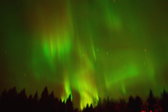 Northern lights Spring Lake, Alberta, CA