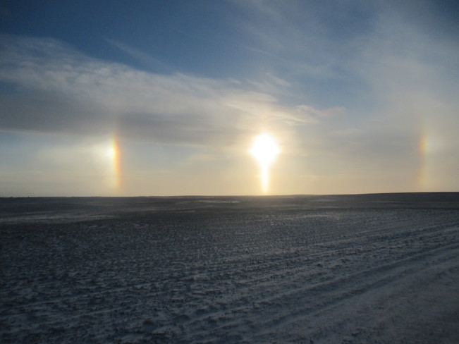 Sun dogs on the prairies Eston, Saskatchewan