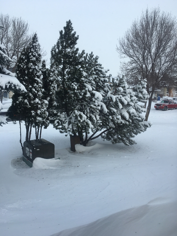 Winter hereâ„ï¸ï¸ Winnipeg, Manitoba, CA
