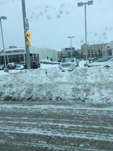 Snow â„ï¸ Winnipeg, Manitoba, CA