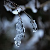 Ice drops