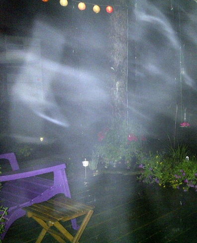 Fog + cold night rain Toronto, ON