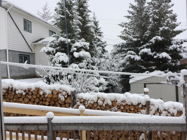 Feels like Christmas Botwood, Newfoundland and Labrador, CA