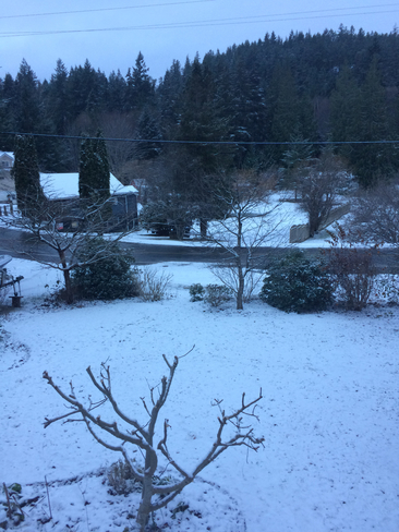 Blizzard 2016.??? Powell River, British Columbia, CA