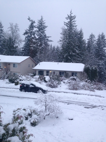 Snowfall warning Ladysmith, British Columbia, CA