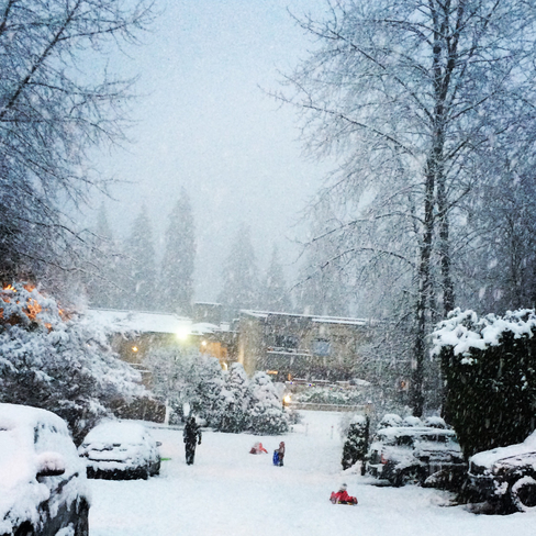 Snow! North Vancouver, British Columbia | V7G 2P3