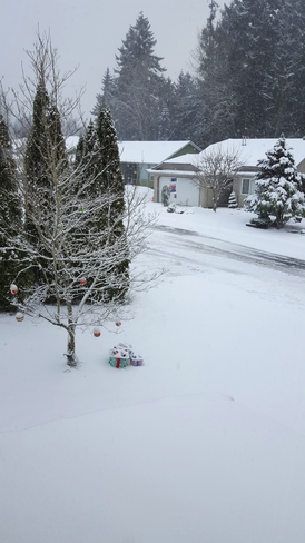 It's a white Christmas! Nanaimo, BC