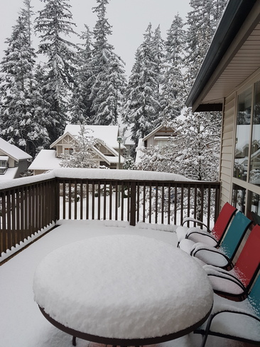 Snow cake is here... Port Moody, BC