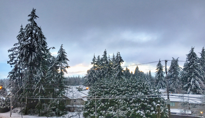 Snowy Day Surrey, British Columbia | V3W 1T7