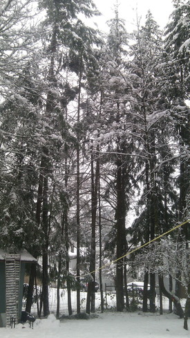 Snowfall Courtenay, BC