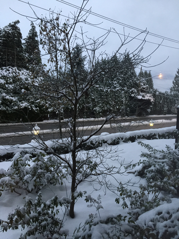 Snowfall has stopped in Abbotsford Abbotsford, British Columbia | V2T 6M9