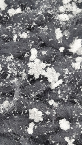 tiny snowflakes Pitt Meadows, BC