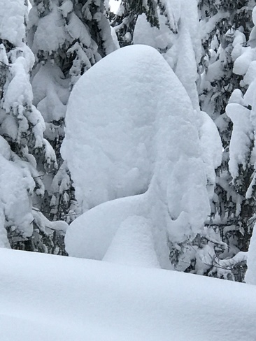 Natural Snow Sculptures Sovereign Lake Vernon BC "George Washington" 7134-7298 Herbert Rd, Vernon, BC V1B 3P2, Canada