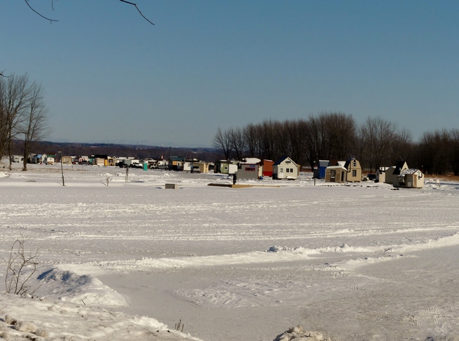 Ice Fishing Village Petrie Island, Ottawa, ON
