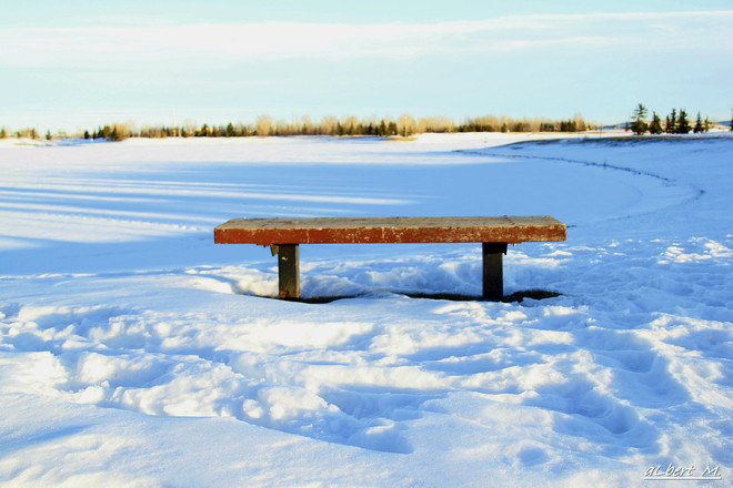 snow of silence Calgary, AB