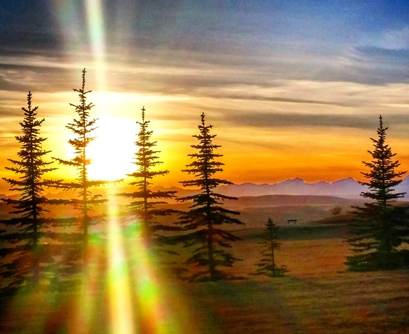 Sunset Silhouettes Bragg Creek Provincial Park, Bragg Creek, AB