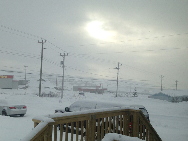 Light snow with sun breaking through L'Anse-au-Clair, Newfoundland and Labrador, CA