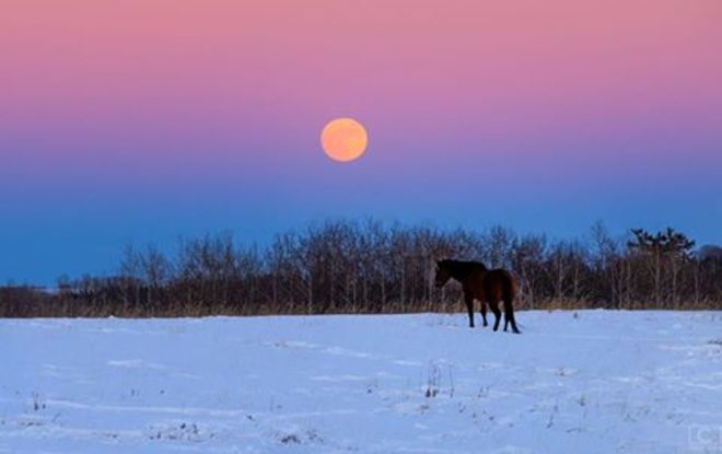 Beautiful Prairie Moonrise Water Valley, Alberta