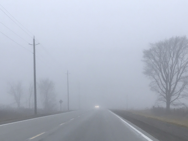 Foggy Weather Petrolia, Ontario, CA