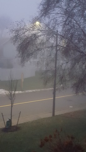 A foggy curtain this morning. Thornhill, ON
