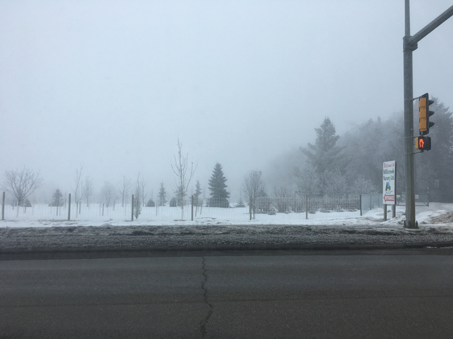 Foggy day in the city Edmonton, Alberta, CA