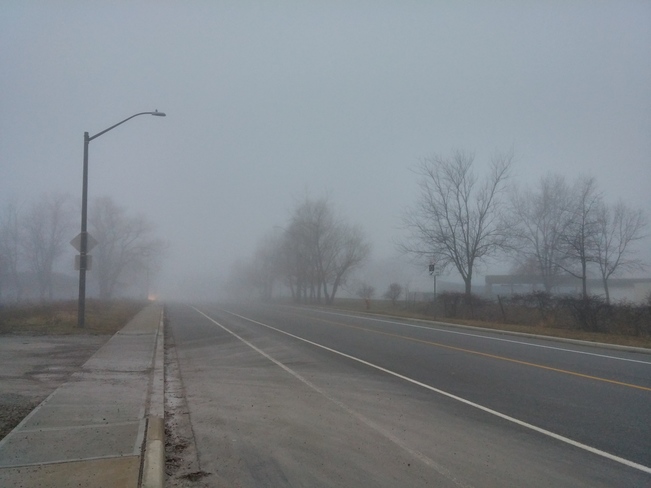 Fog in Oakville Oakville, ON