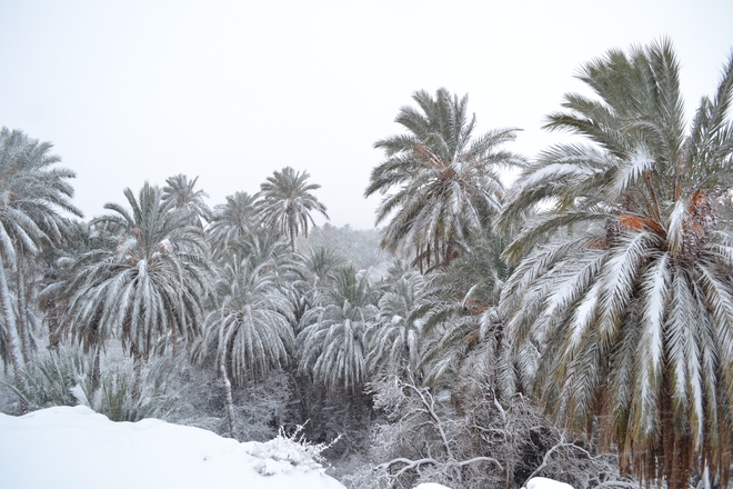 neige au desert Unnamed Road, Boussemghoun, Algérie