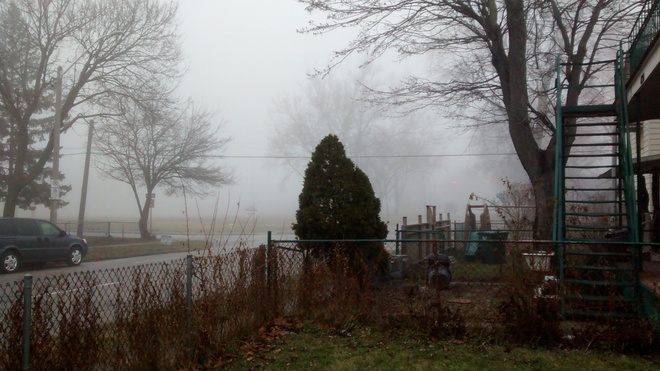 Fog In Windsor, On Windsor, ON