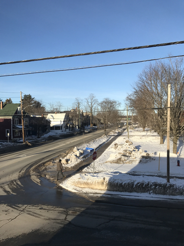 Beautiful January day in Fredericton. Fredericton, New Brunswick, CA