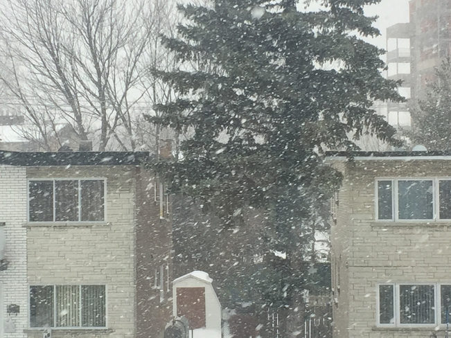 La neige!! Montréal, Québec, CA