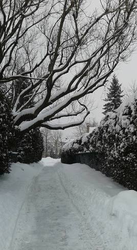 un sentier l'hiver 100 Boulevard Industriel, Boucherville, QC J4B 2X2, Canada